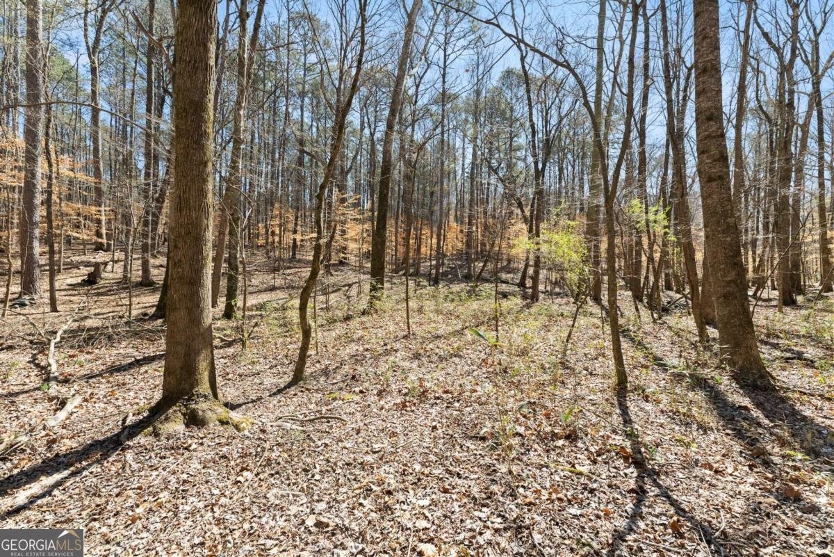 400 Surveyors Point Suwanee - 49