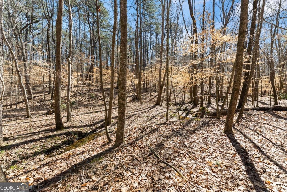 400 Surveyors Point Suwanee - 50