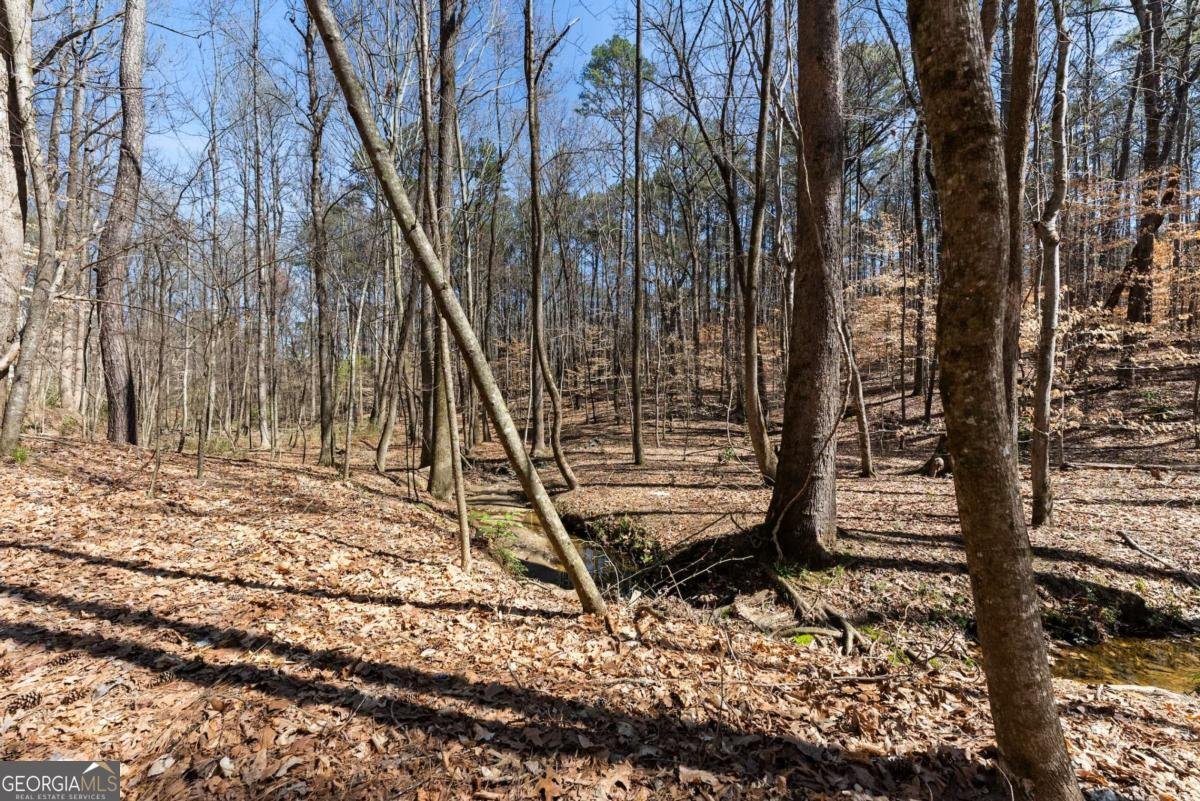 400 Surveyors Point Suwanee - 51