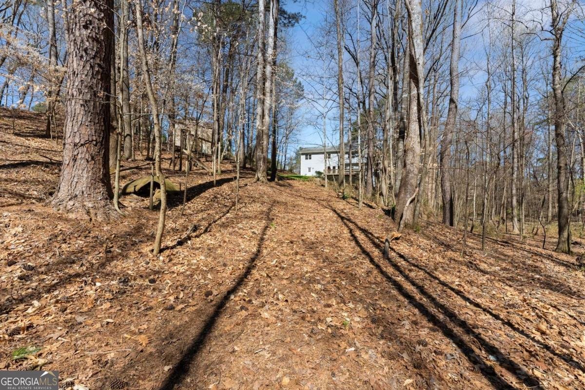 400 Surveyors Point Suwanee - 52