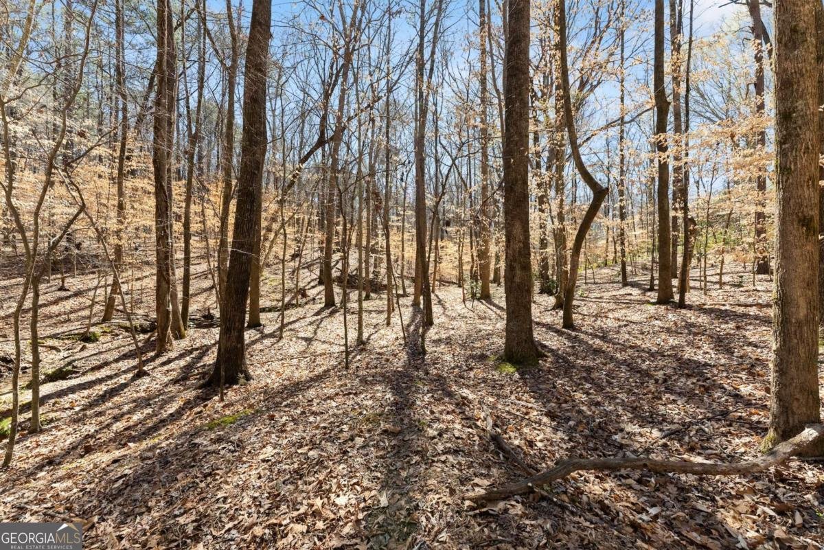400 Surveyors Point Suwanee - 53
