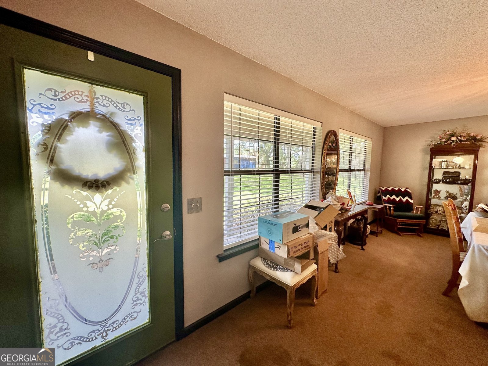 5272 Burkhalter Road Blackshear - 28