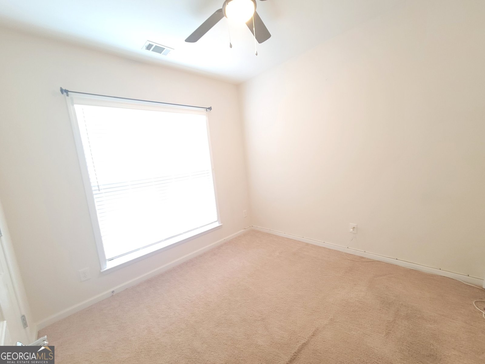 101 MAGIC LILY Drive Griffin - 10