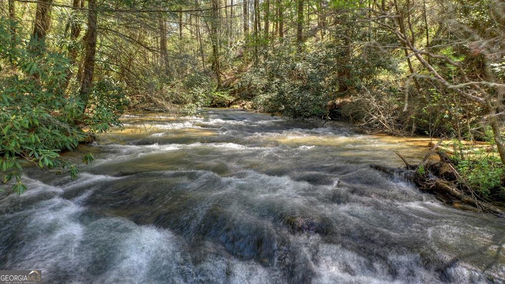 270 Watersong Trail Ellijay - 20