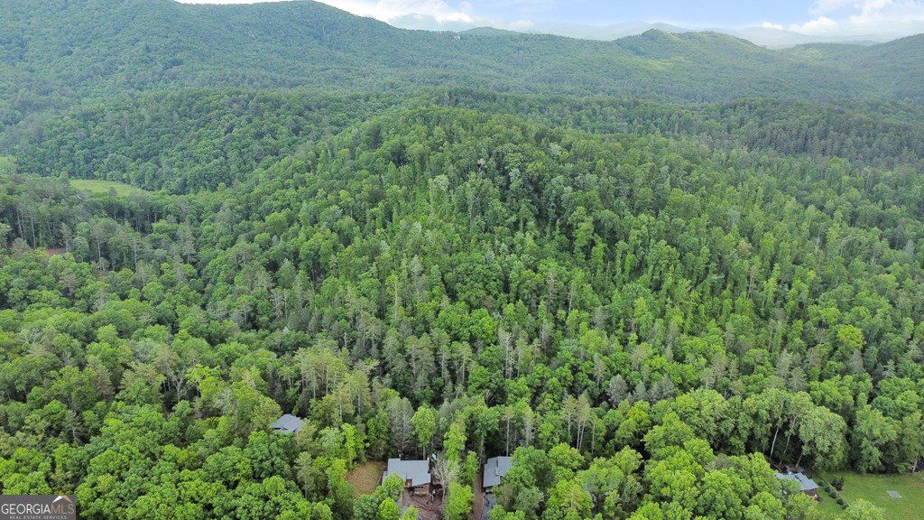 270 Watersong Trail Ellijay - 52