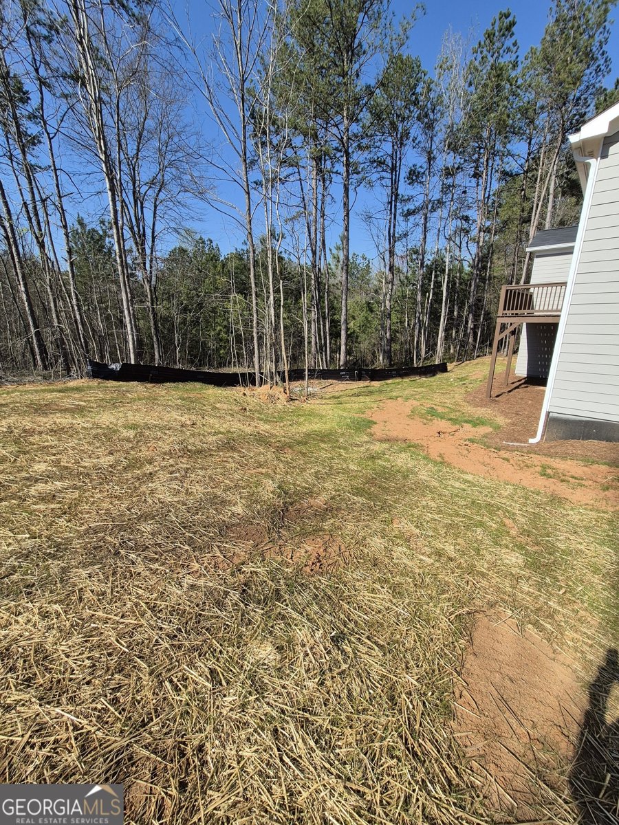 623 Lena Drive Hoschton - 31