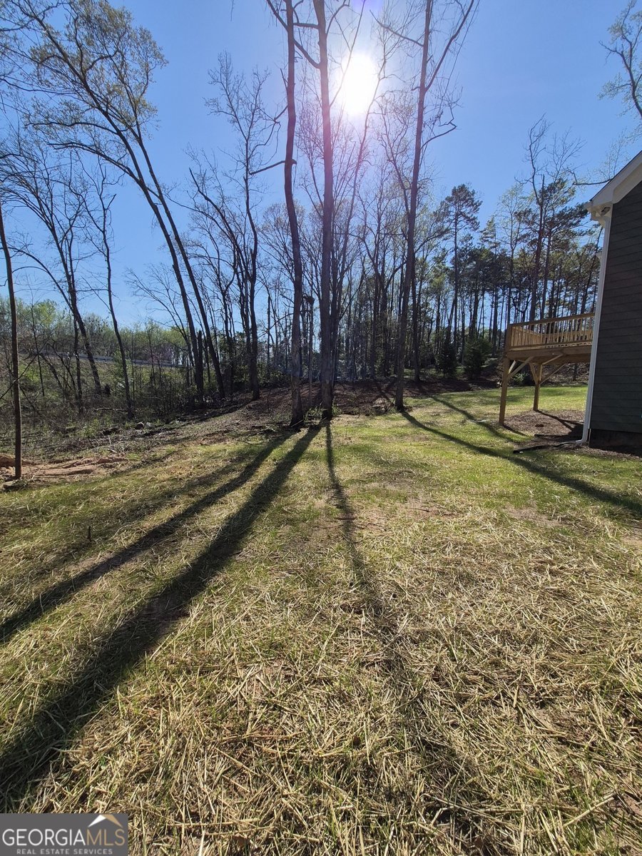 623 Lena Drive Hoschton - 32