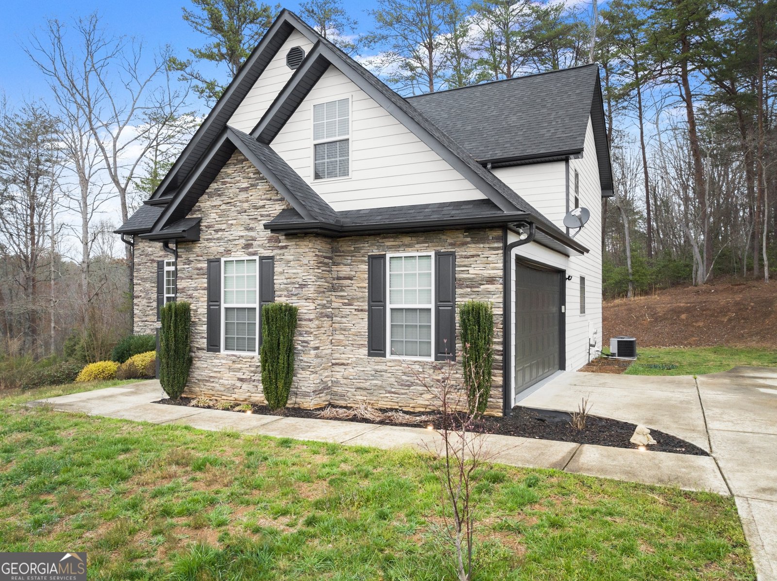 161 Wayward Winds Drive Demorest - 3