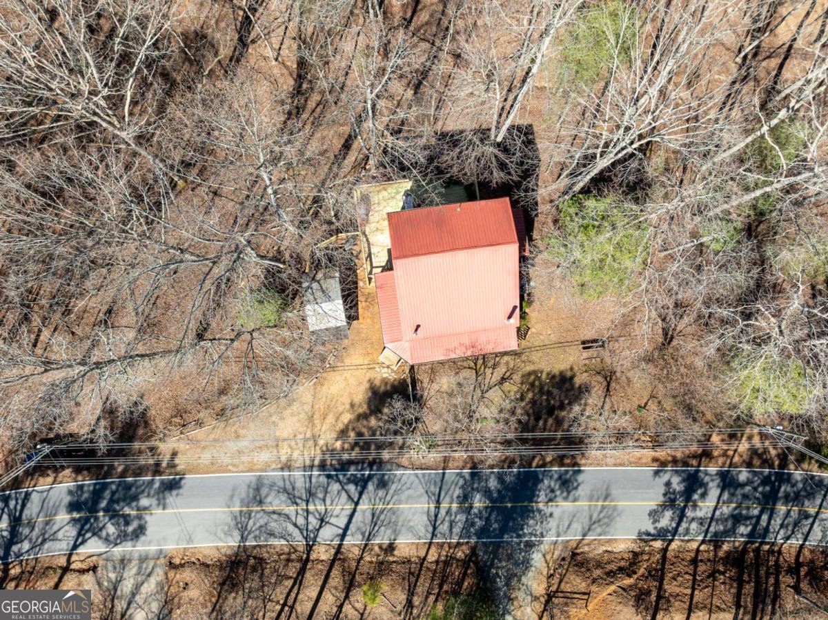 1784 Newport Drive Ellijay - 38