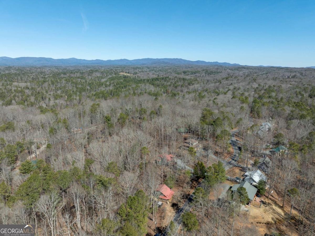 1784 Newport Drive Ellijay - 39