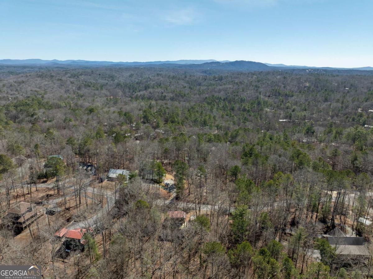 1784 Newport Drive Ellijay - 40