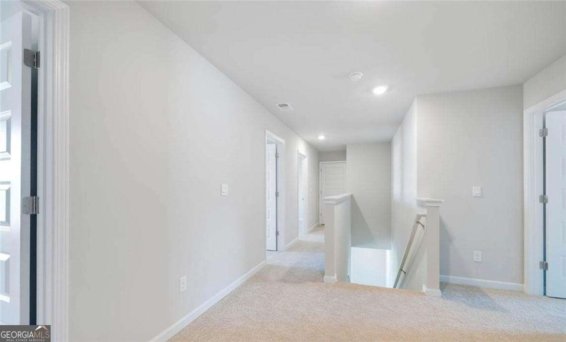 399 GREAT SALT Lane Hoschton - 21