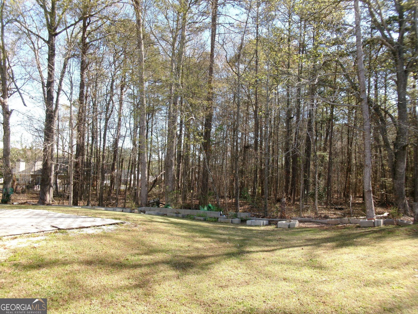 1211 Saxony Drive Conyers - 3
