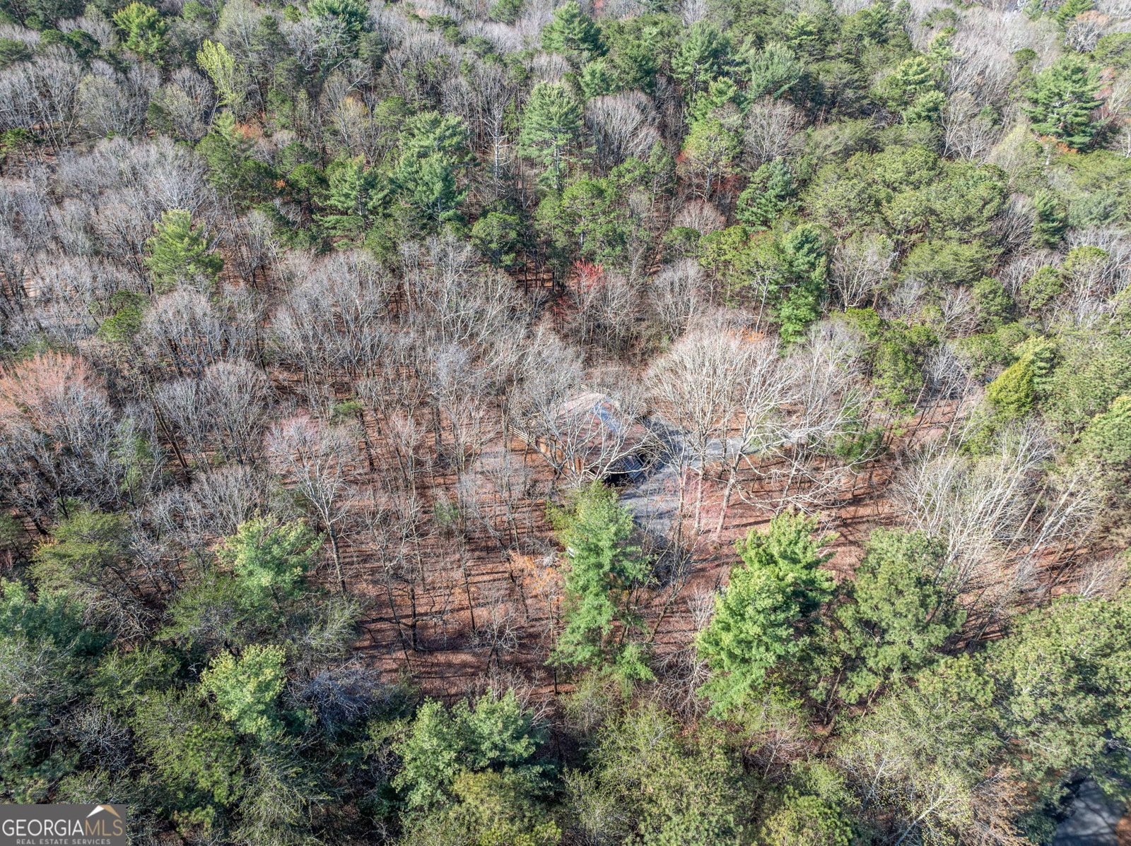 335 Misty Hollow Road Ellijay - 29