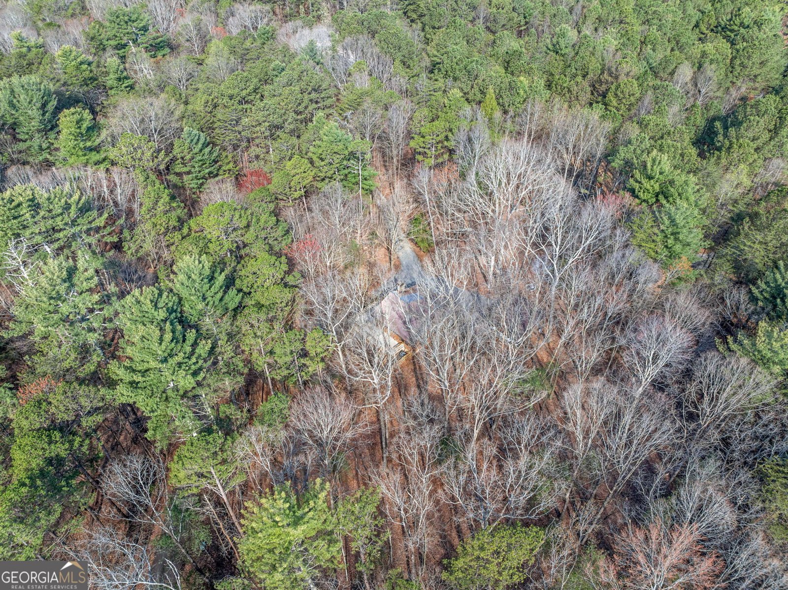 335 Misty Hollow Road Ellijay - 31