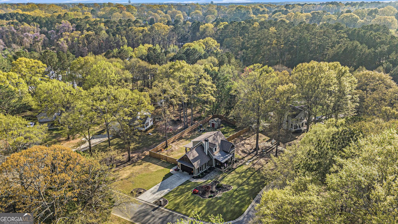 105 Beech Court Senoia - 39