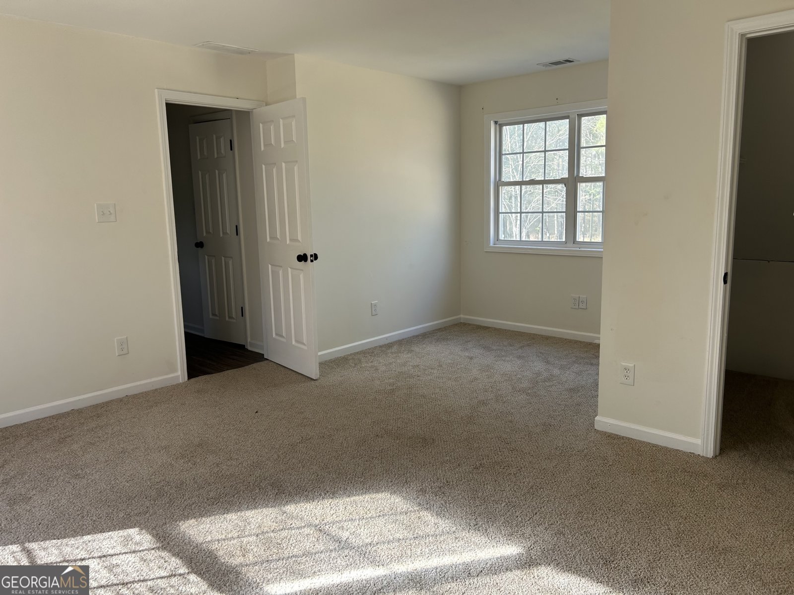 1126 Old Jackson Road Locust Grove - 22