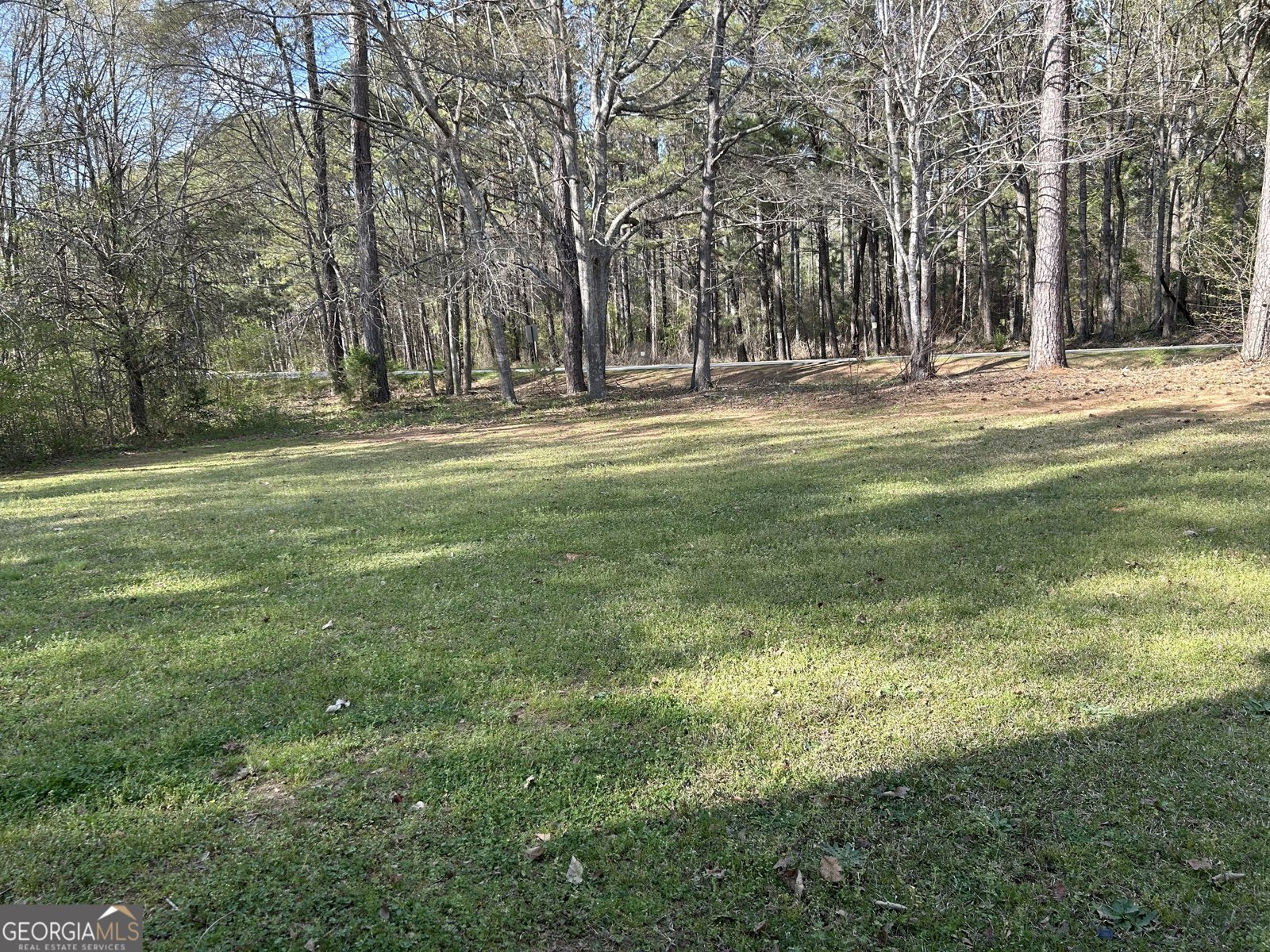 1126 Old Jackson Road Locust Grove - 5