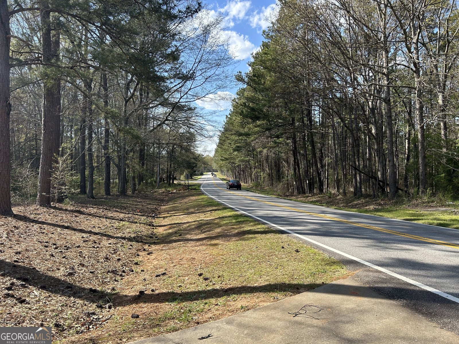 1126 Old Jackson Road Locust Grove - 6
