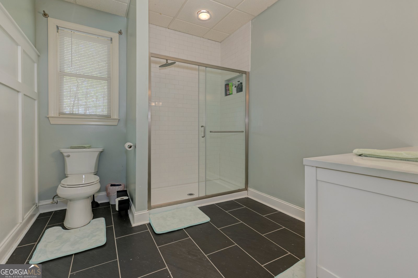 8155 Legends View Court Cumming - 49