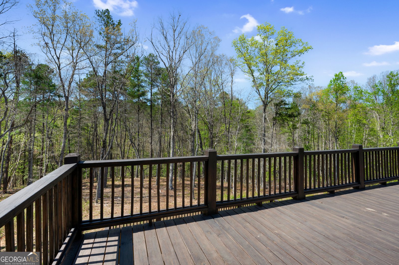 170 Oak Wood Lane Ellijay - 12