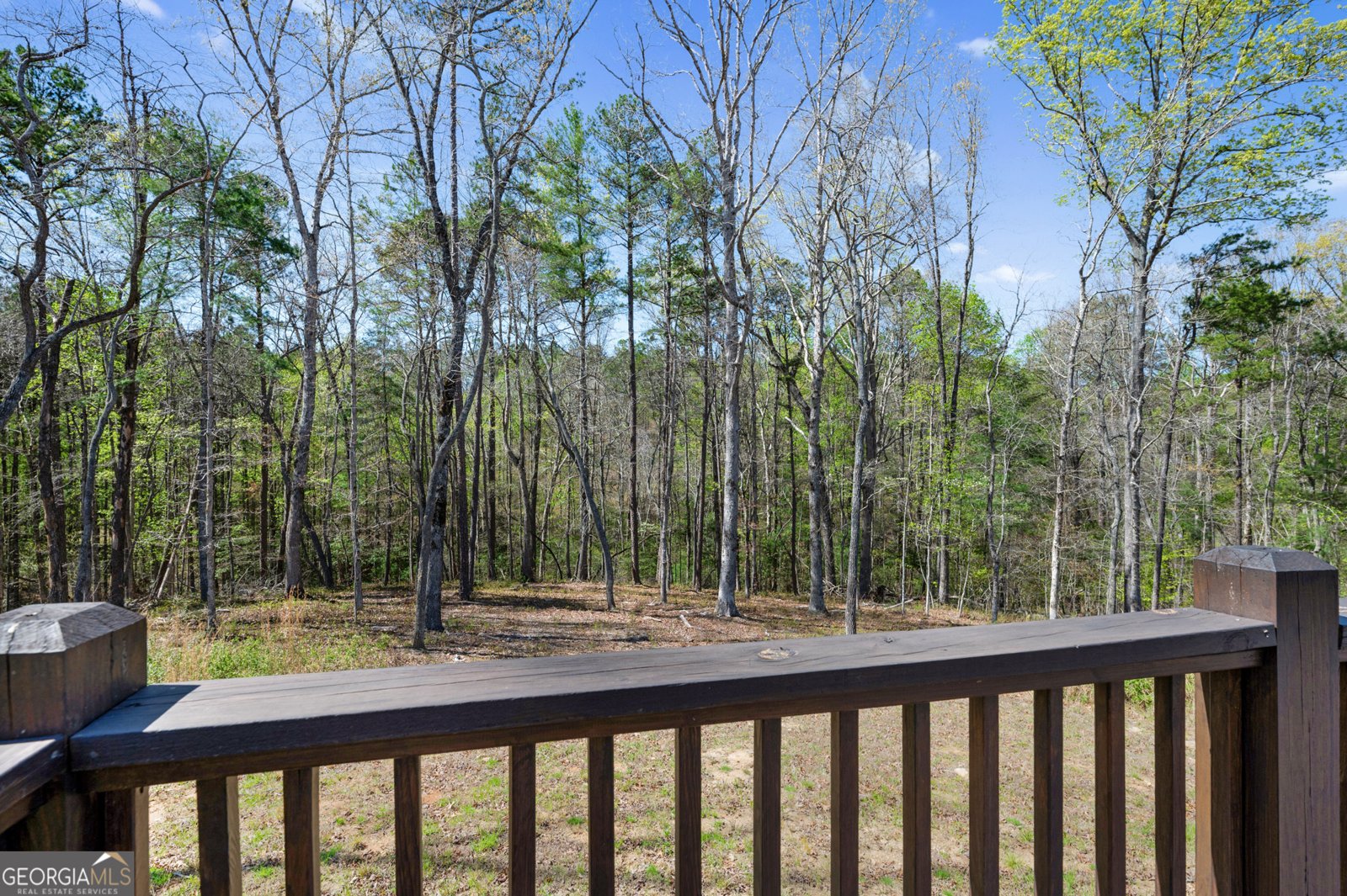 170 Oak Wood Lane Ellijay - 39