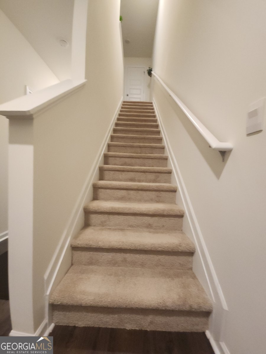 1302 Speckle Park Way Stockbridge - 12