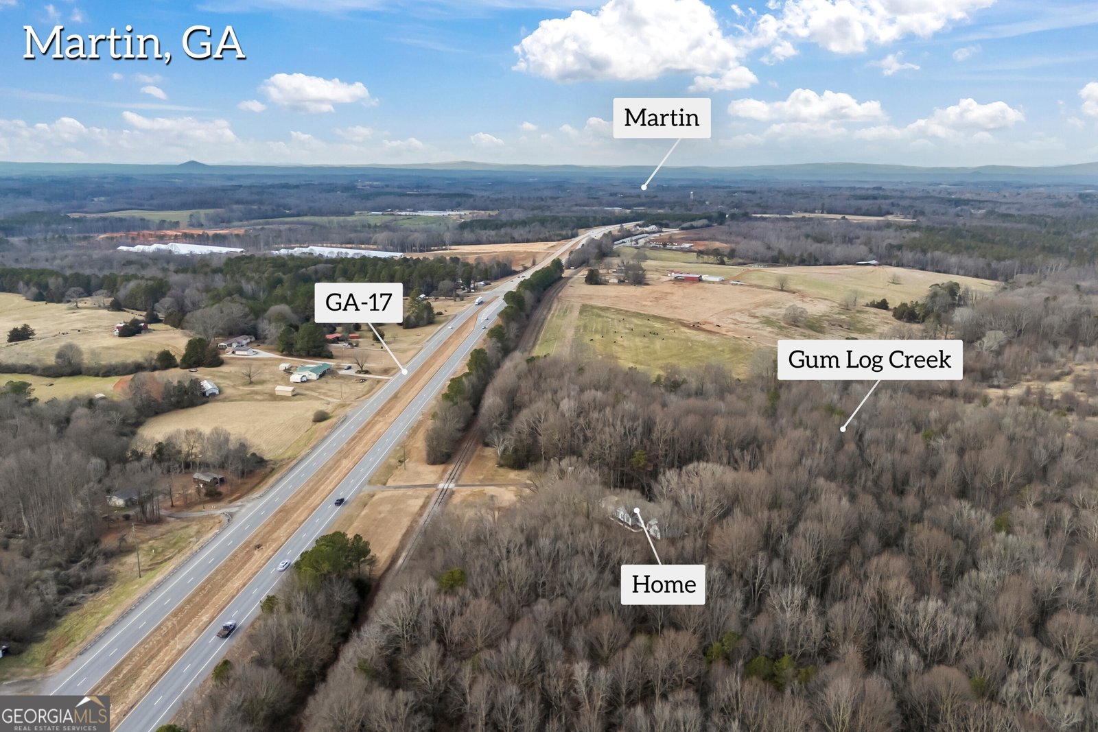 16834 Hwy 17 Martin - 10