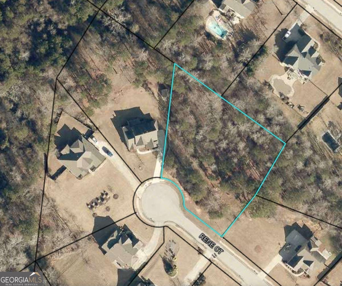 1713 Rene Court Loganville - 4