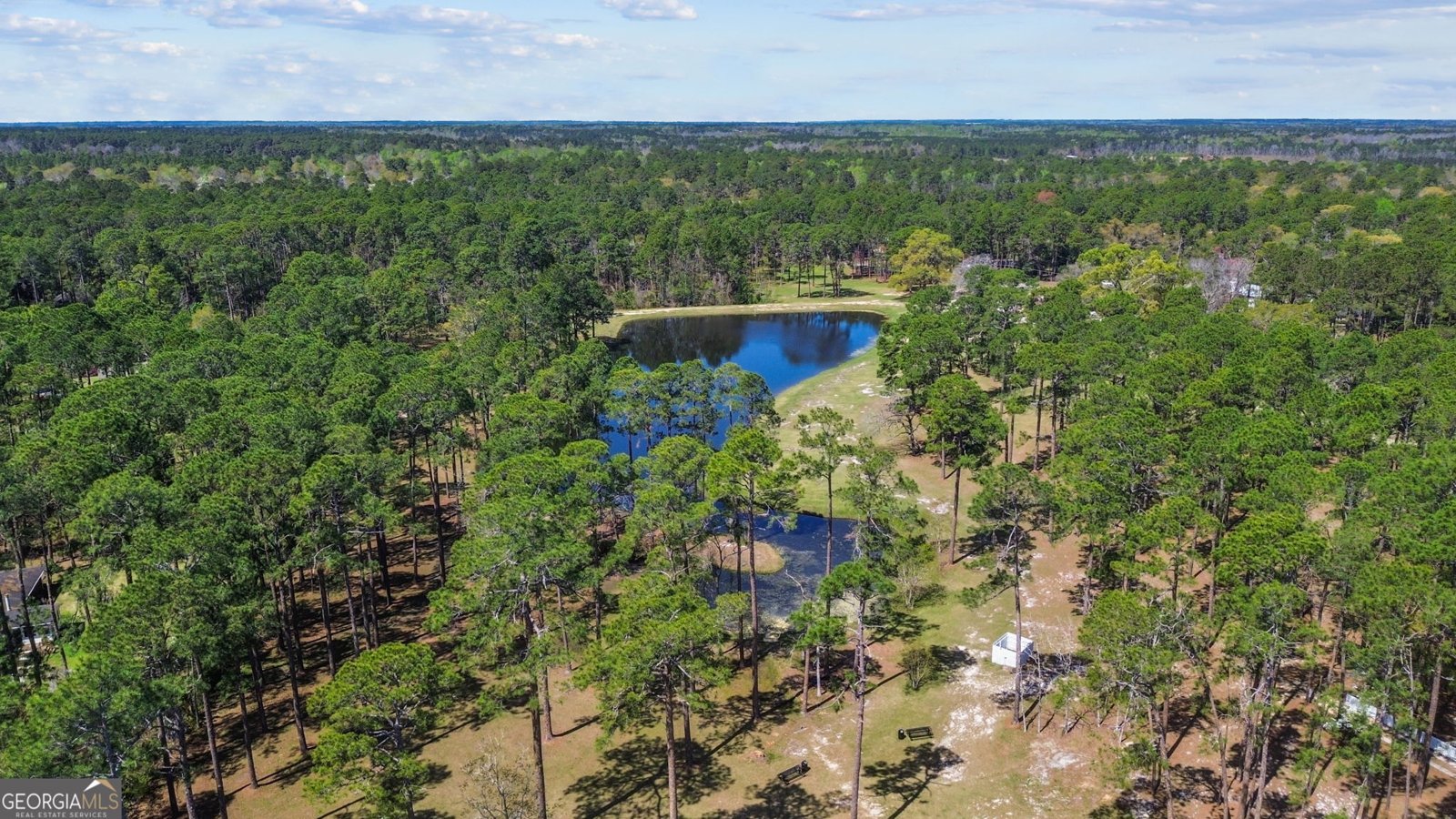 205 Birdsill Street Statesboro - 31