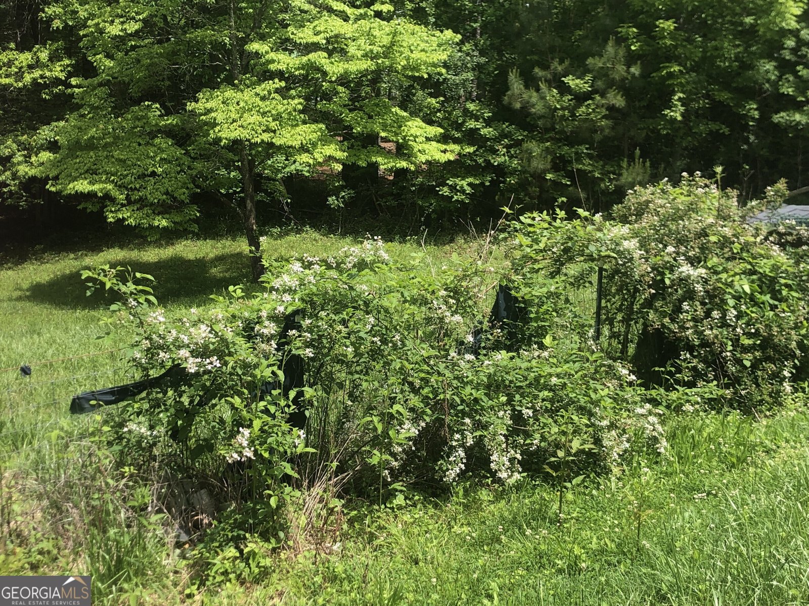 65 Black Oak Ridge Road Blue Ridge - 13