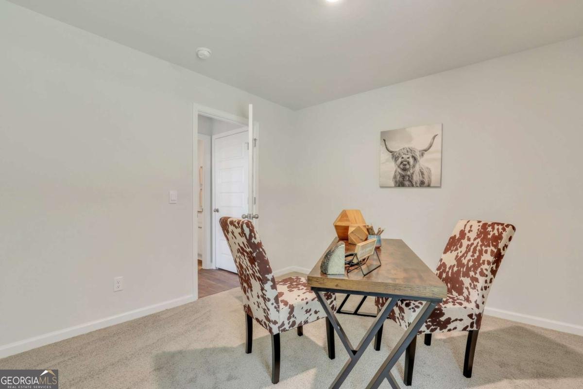 207 Birdsill Street Statesboro - 19