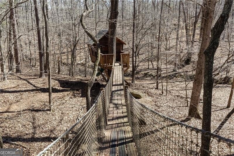 7455 Old Rico Road Chattahoochee Hills - 69