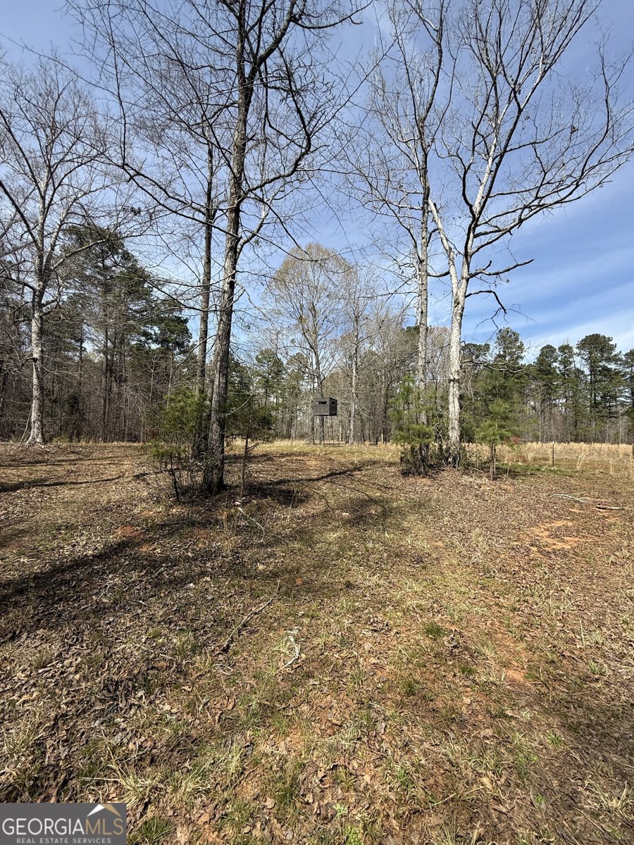 0 Sugar Creek Trail Buckhead - 1