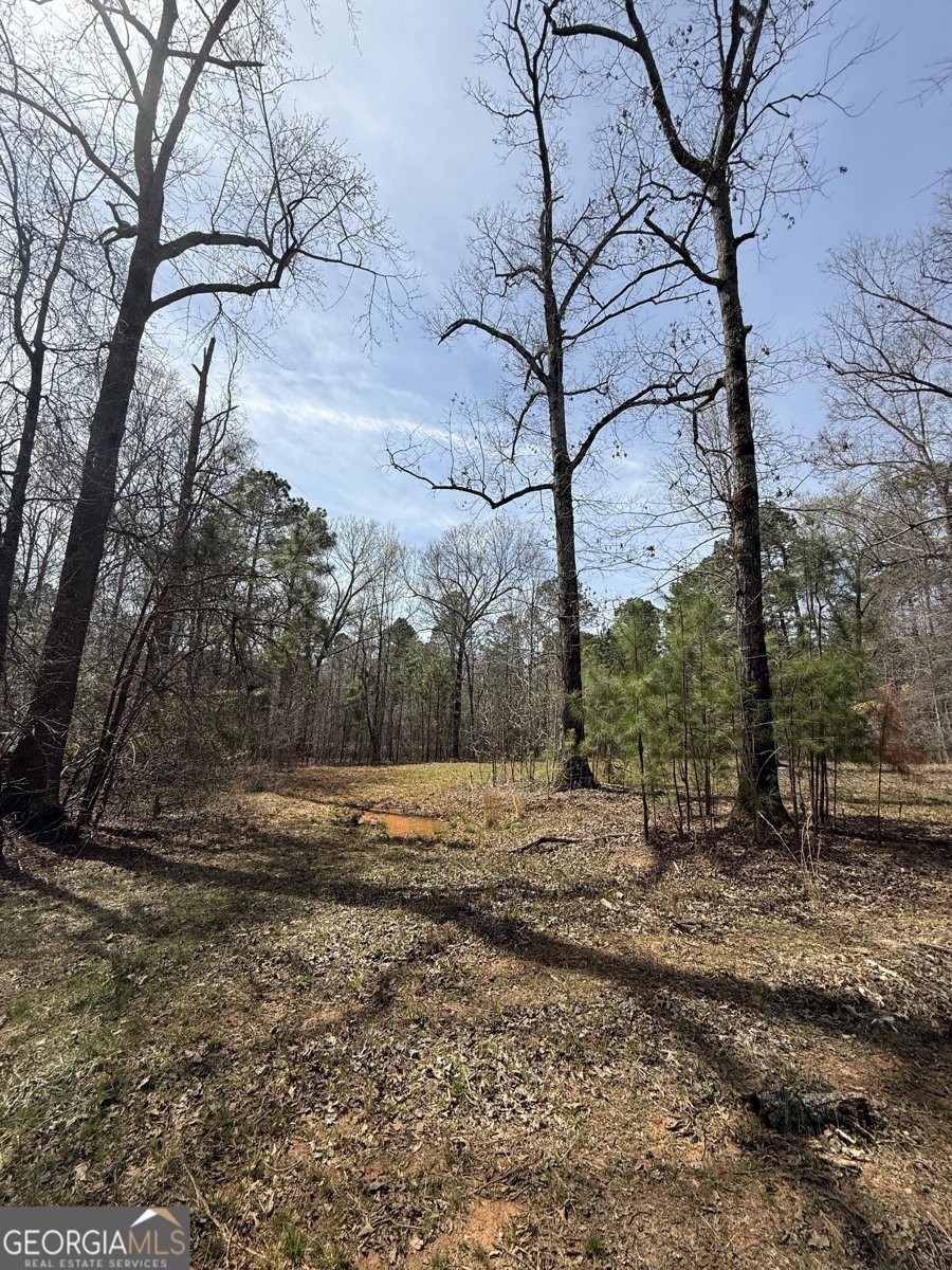 0 Sugar Creek Trail Buckhead - 3