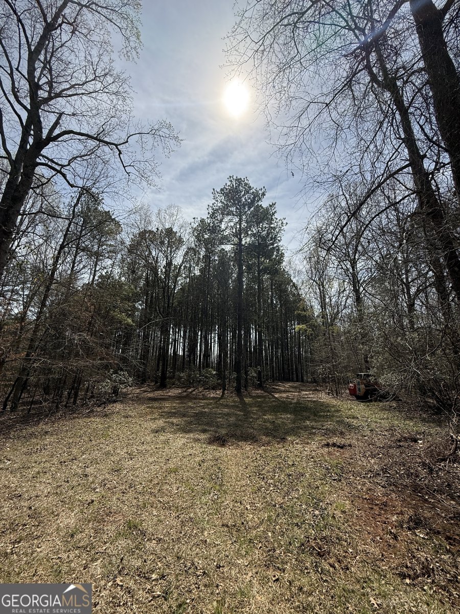 0 Sugar Creek Trail Buckhead - 4