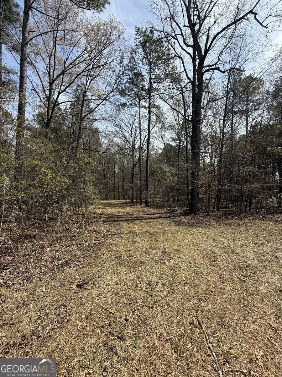 0 Sugar Creek Trail Buckhead - 5