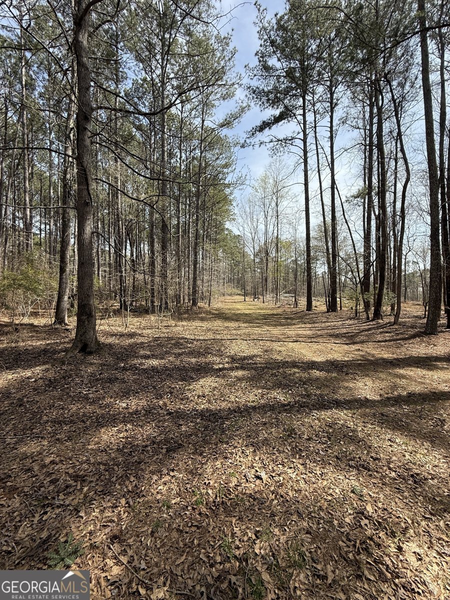 0 Sugar Creek Trail Buckhead - 6