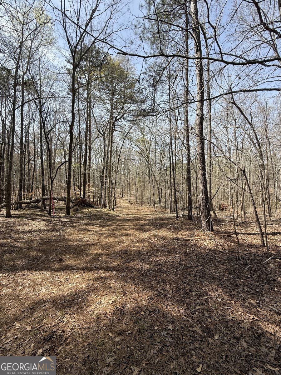 0 Sugar Creek Trail Buckhead - 7
