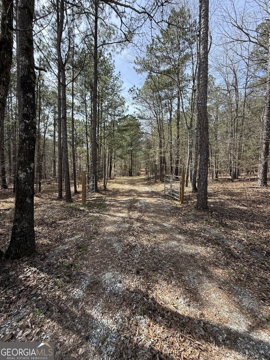 0 Sugar Creek Trail Buckhead - 8