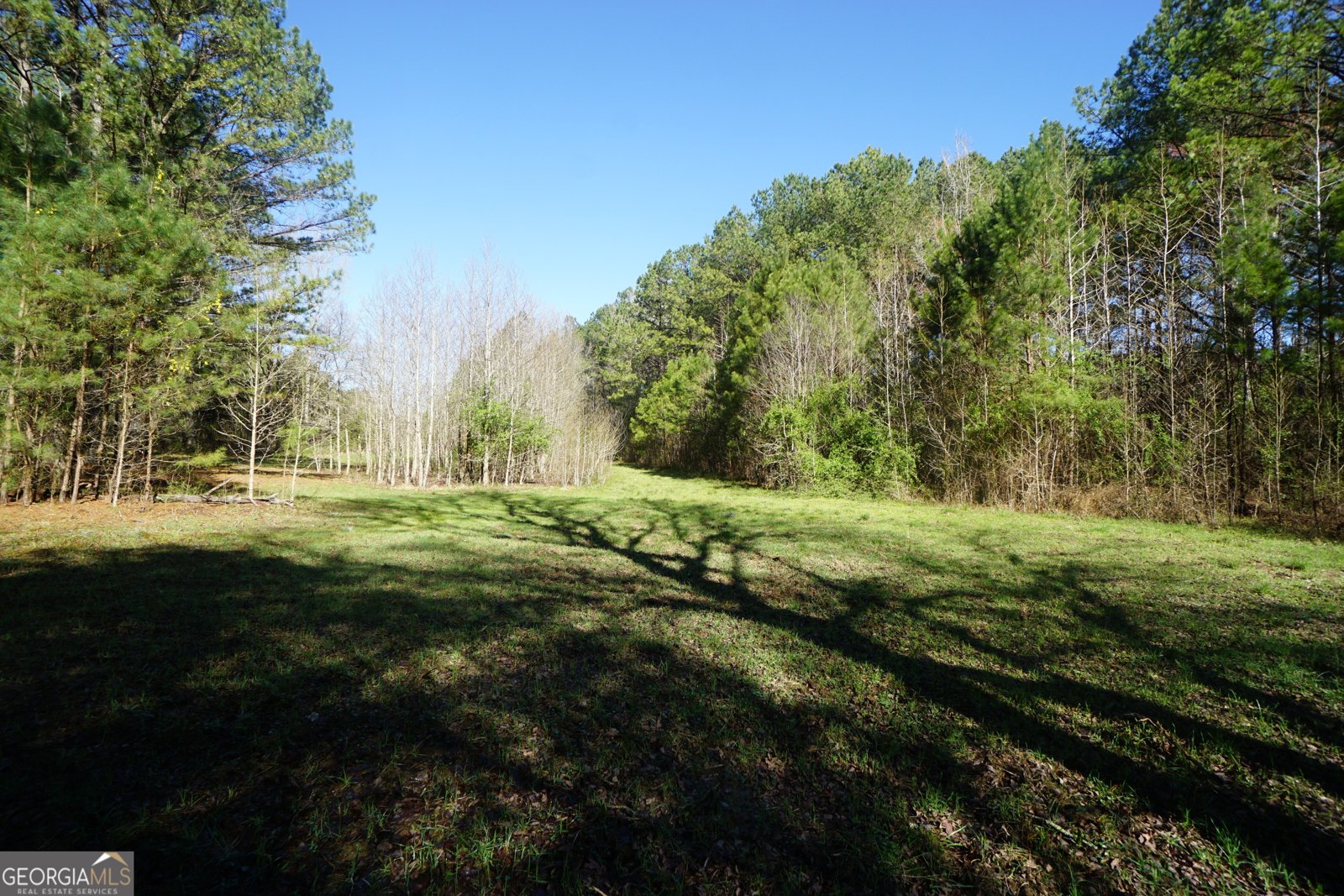 1848 Tenny Nelson Road Grantville - 72