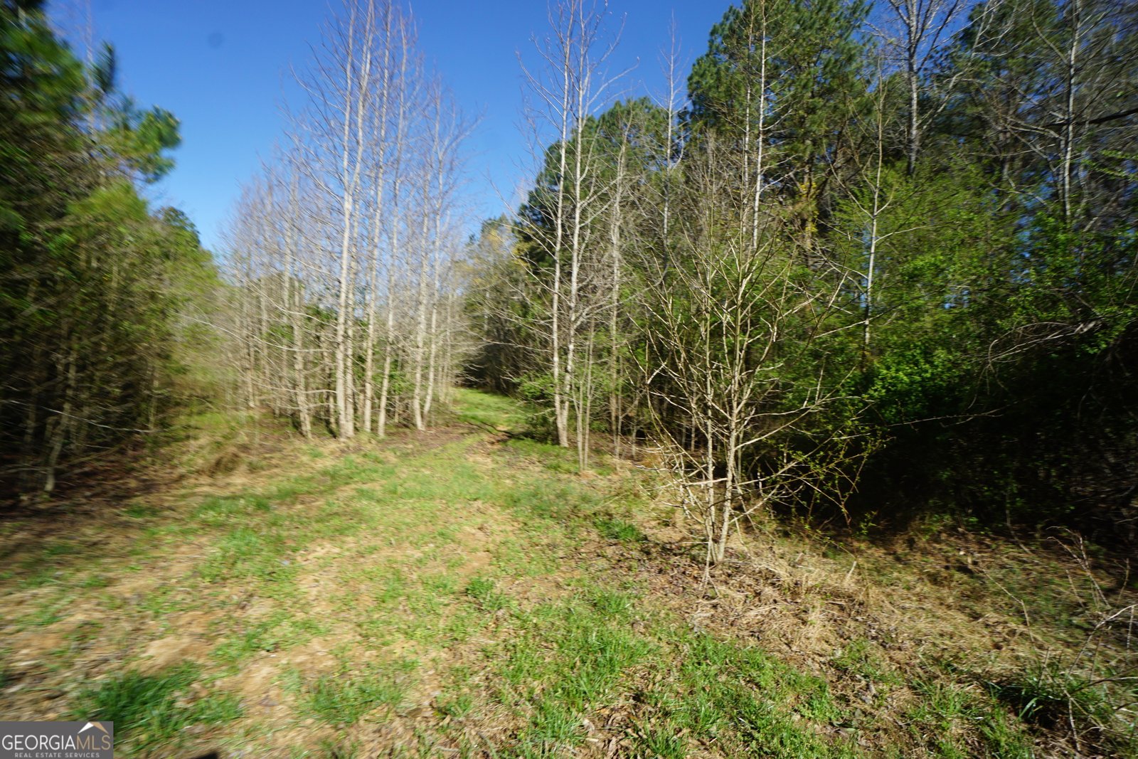 1848 Tenny Nelson Road Grantville - 73
