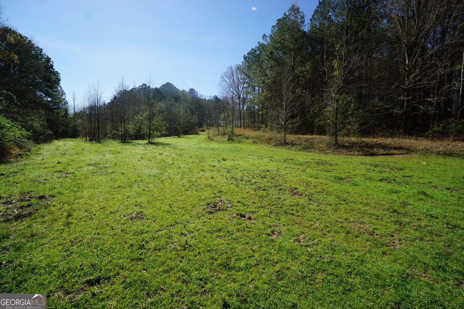1848 Tenny Nelson Road Grantville - 77