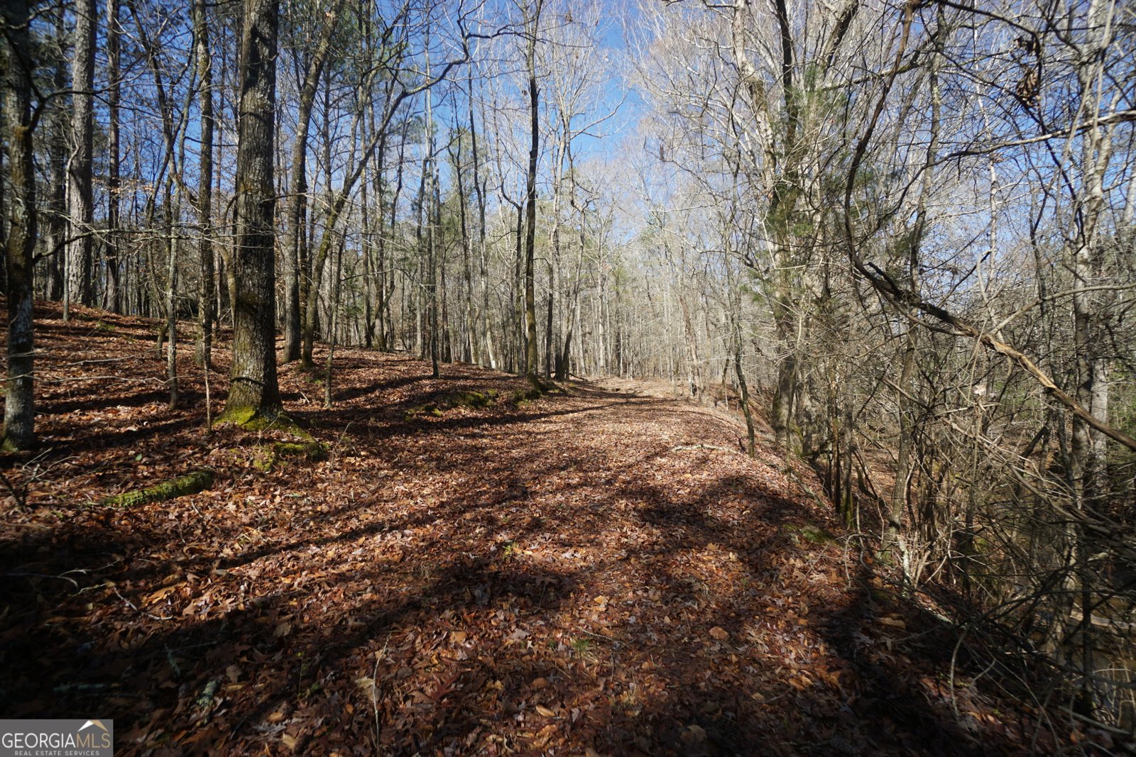 1848 Tenny Nelson Road Grantville - 79