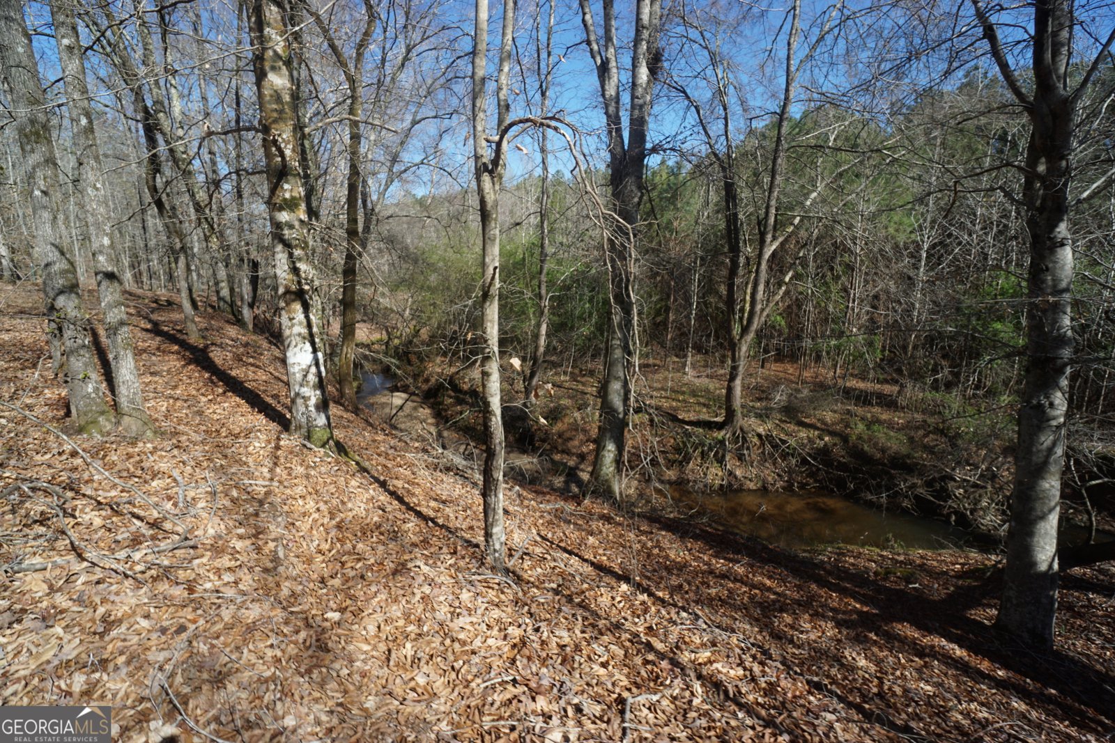 1848 Tenny Nelson Road Grantville - 80