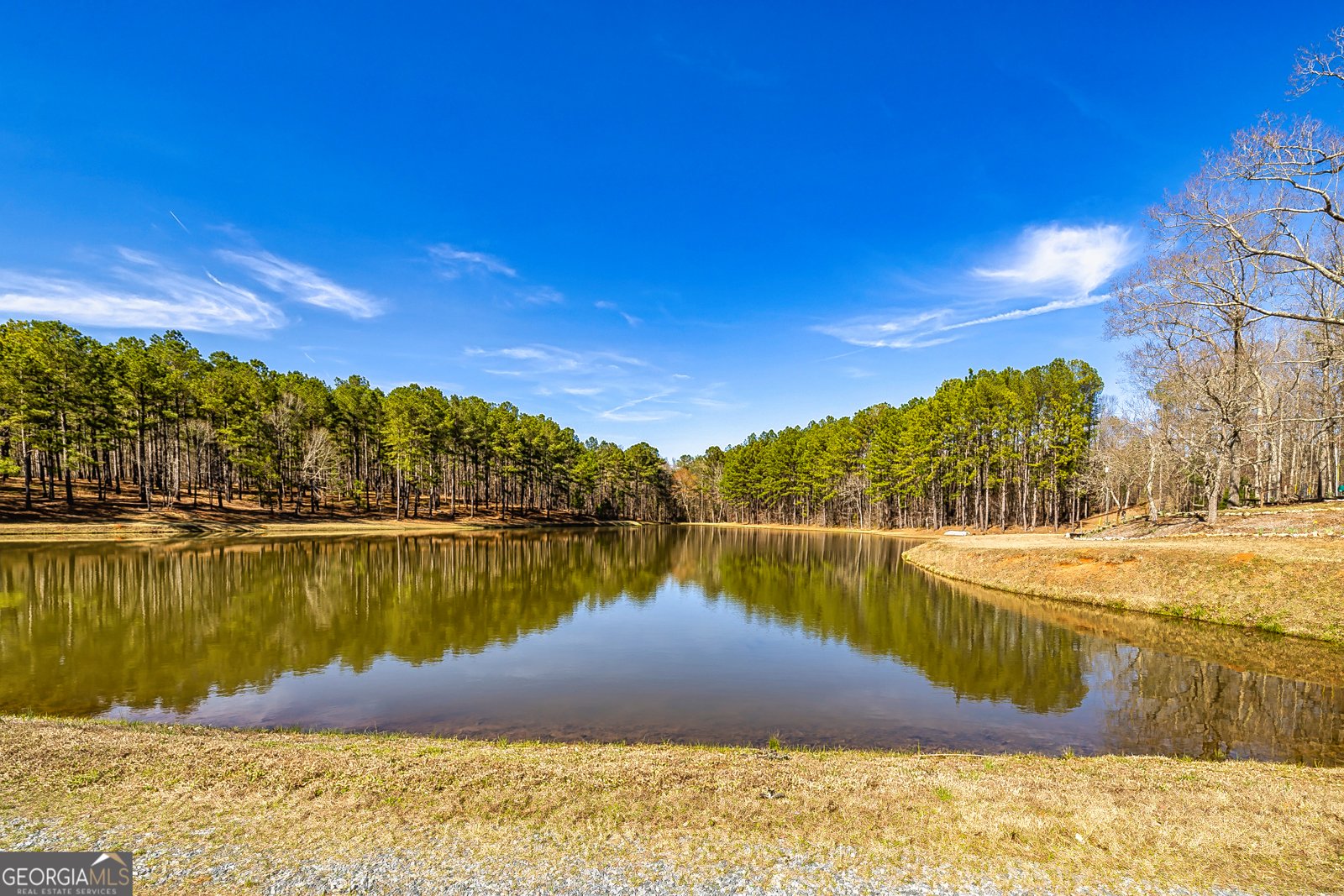 1479 Primrose Road Greenville - 12