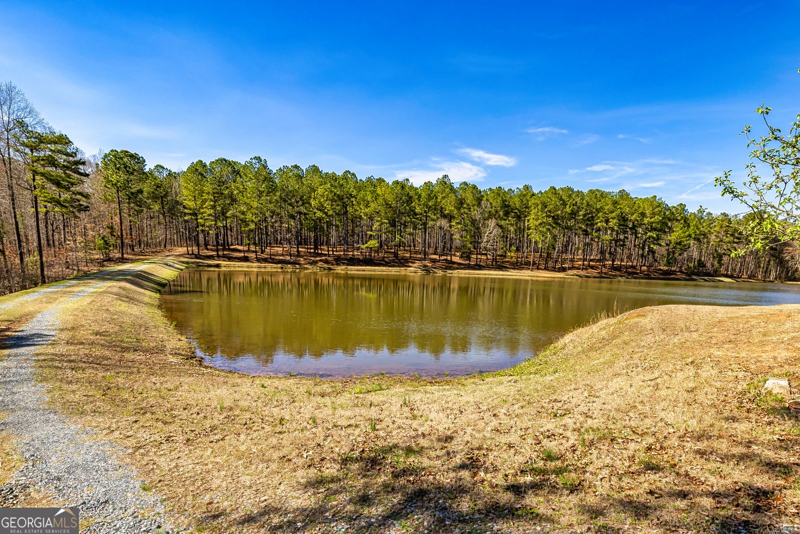 1479 Primrose Road Greenville - 14