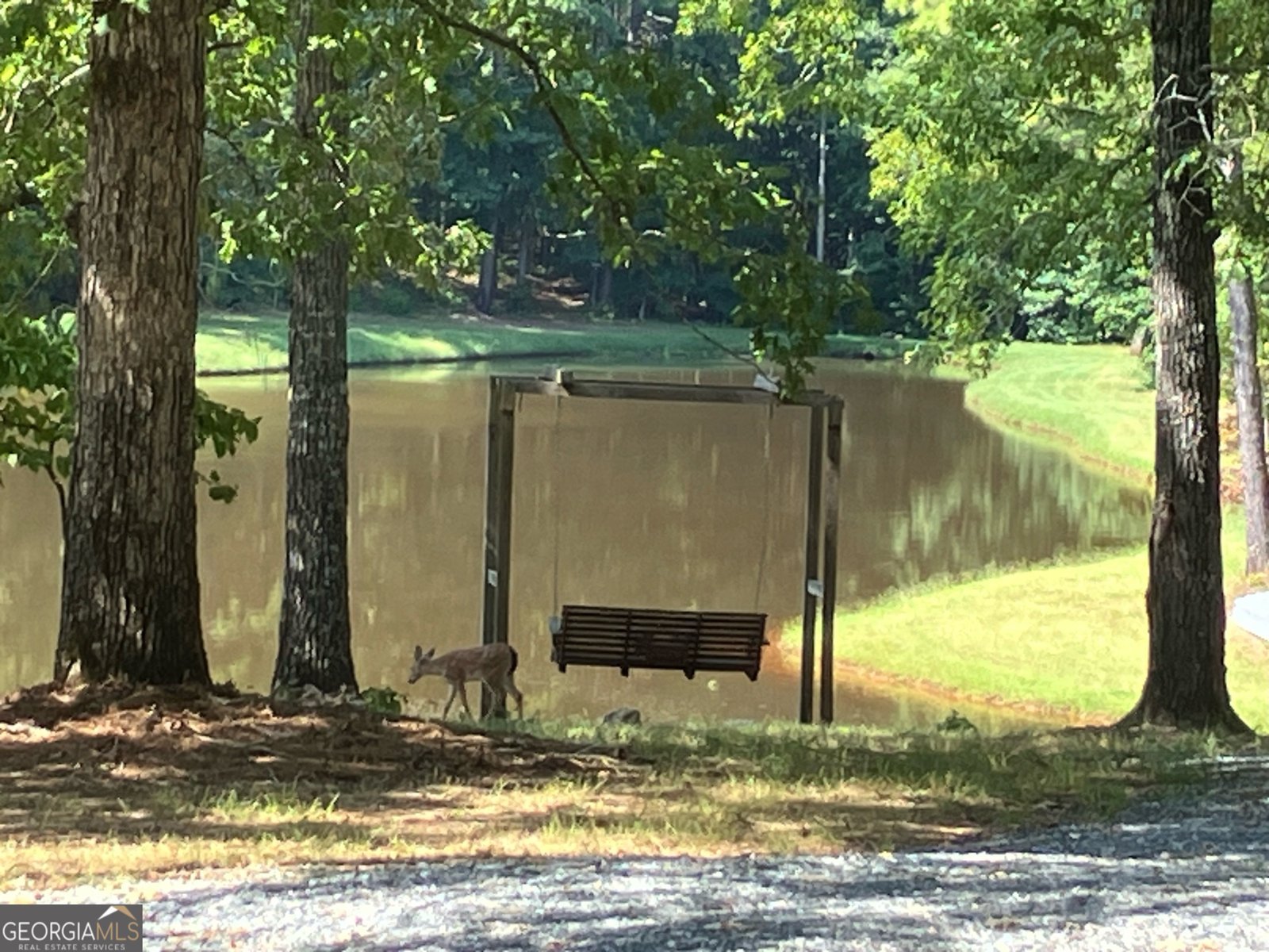 1479 Primrose Road Greenville - 15
