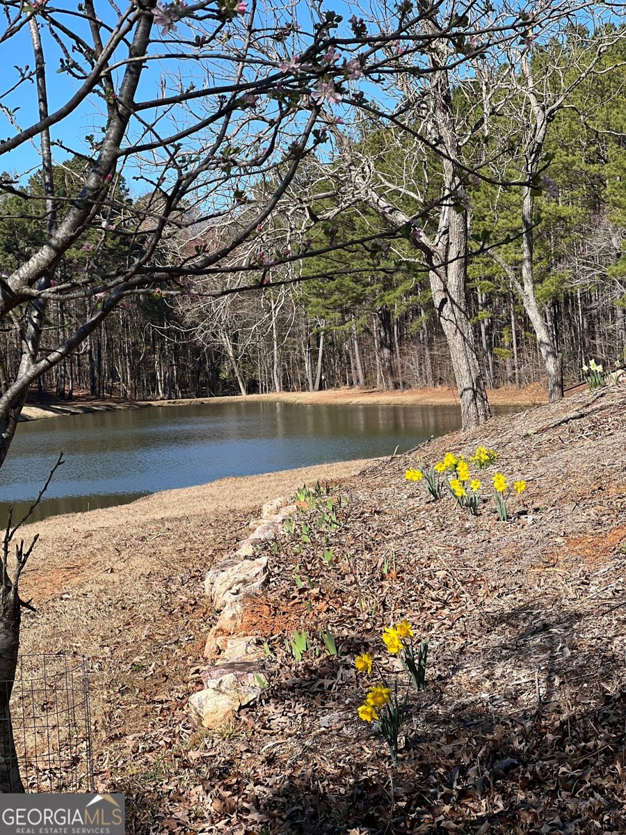 1479 Primrose Road Greenville - 16