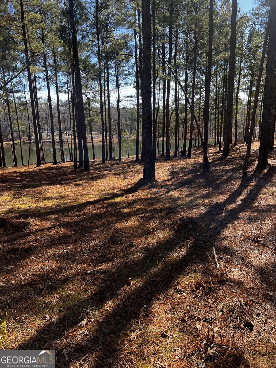 1479 Primrose Road Greenville - 22